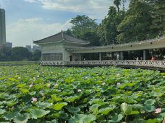 -荔湾湖公园