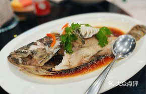 Steamed Tiger Grouper Cantonese Style