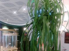-烹然四季椰子鸡火锅(姚家园万象汇店)