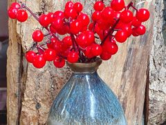 -腾文筱院(沙湖路店)