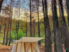-青龙山国家森林公园
