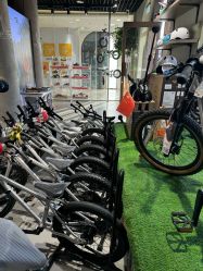 -Early Rider 儿童自行车(蓝色港湾店)