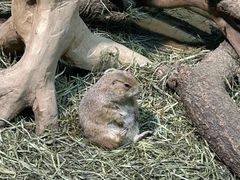 -大连圣亚海洋世界