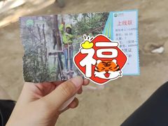 -芦仙山景区-飞越丛林探险乐园