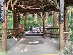 -青城山