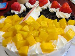 -维尔纳斯·生日蛋糕动物奶油冰淇淋蛋糕(人大店)