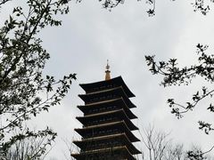 -牛首山文化旅游区