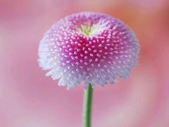 -敬亭山风景名胜区