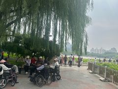-莲花池公园
