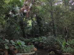-广州兰圃