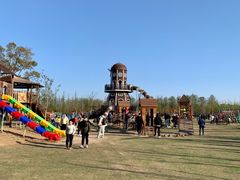 -上海长兴岛郊野公园