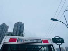 -大龙山(地铁站)