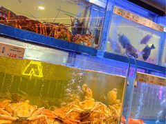 -南海渔村(珠江新城店)