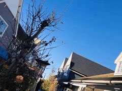 -伦敦比斯特购物村