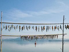 -东钱湖旅游度假区