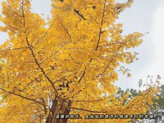 -沙河三洞古桥公园