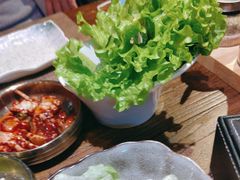 -坦坦大炉·韩式烤肉(望京店)