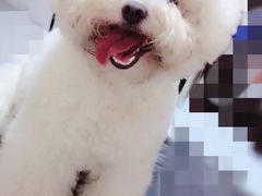 -沐沐家宠物(成寿寺店)