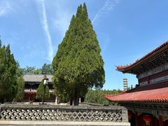 -龙口南山旅游景区