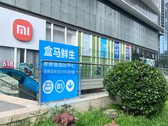 -盒马鲜生(帝斯曼店)