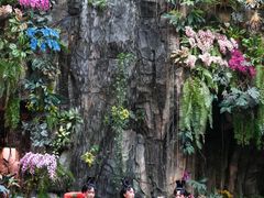 -正佳雨林生态植物园