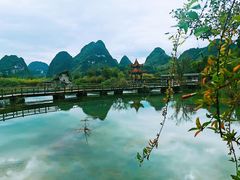 -靖西鹅泉风景区