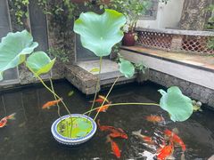 -馨园villa融合菜(东山店)