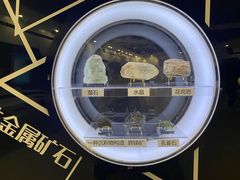 -上海儿童博物馆