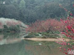 -南国桃园旅游度假区