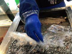 -紫光园清真北京小吃(正阳大街店)