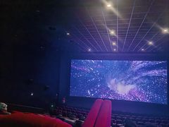 -万达影城(浦西万达广场激光IMAX店)