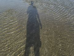 -红树林天天赶海