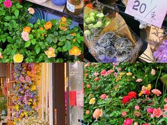 -溪岸路花鸟市场