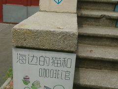 android_upload_pic-海边的猫和咖啡馆