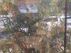 -陈熹公民族美食文化餐厅(中华广场店)