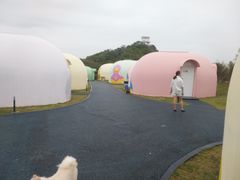 -漳州滨海火山岛自然生态风景区