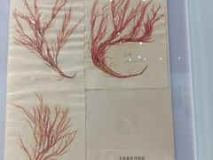 -大连自然博物馆