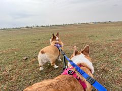 -亿利库布其七星湖沙漠生态旅游区
