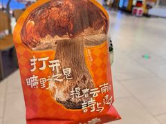 -芸山季·云南山珍菌火锅(南翔印象城MEGA店)