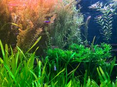 -上海海洋水族馆