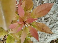 -白塘生态植物园