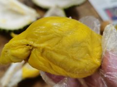 -都念榴莲·城市榴莲