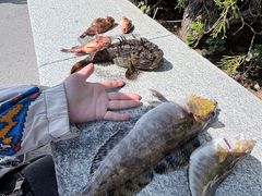 -鱼市酒店(威海水产批发市场店)