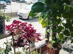 -李先生牛肉面大王(昌平鼓楼店)