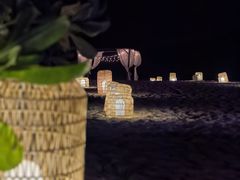 -海南清水湾莱佛士酒店