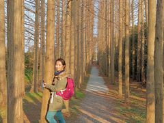 -上海长兴岛郊野公园