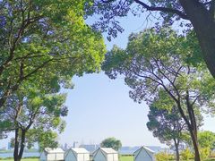 -苏州金鸡湖大酒店