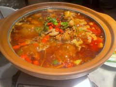 雀蓝肥肠鸡-雀蓝川菜(奥体广场店)