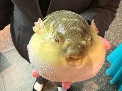 -永安鱼庄·镇江菜(东吴路店)