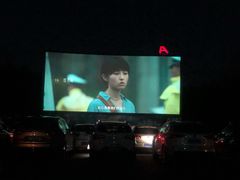 -枫花园汽车电影院(朝阳公园店)